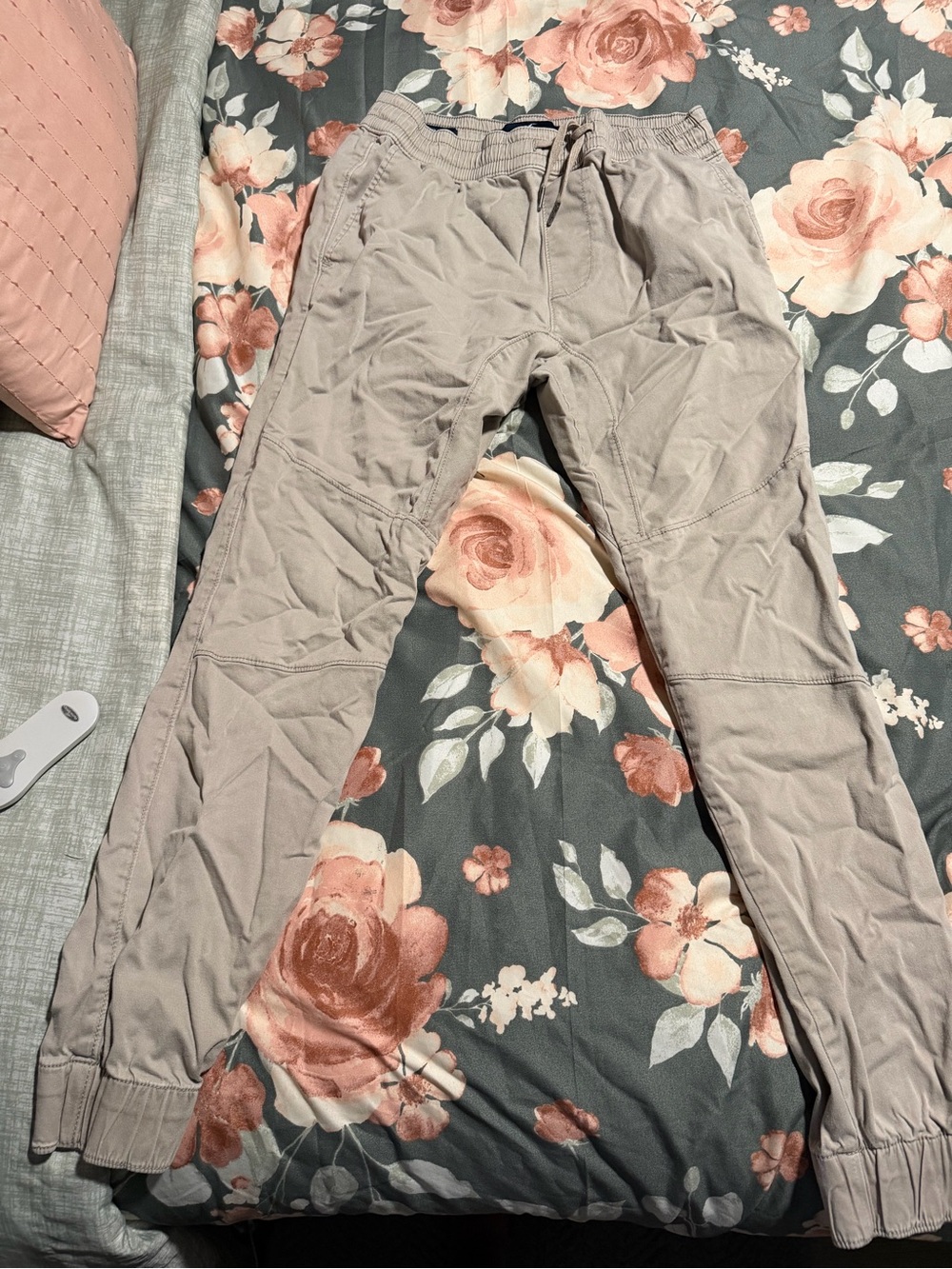 Hollister Light Taupe Jogger Pants